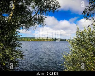 Lago di Vassiviere campo e foresta Foto Stock