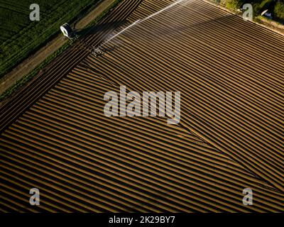 Agricoltura intensa fiekd che è irrigatedwith enormi quantità di acqua sopra una calda giornata estiva - immagine aerea Foto Stock