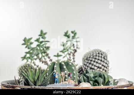 Escursionisti in miniatura lungo il paesaggio del deserto Foto Stock