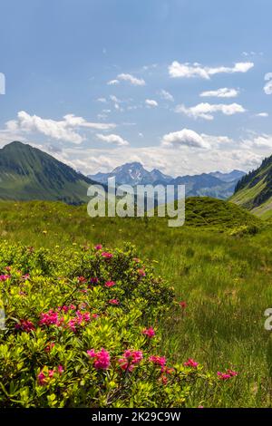 Tipico paesaggio alpino all'inizio dell'estate nei pressi di Damuls, Vorarlberg, Austria Foto Stock