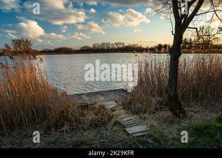 Un molo in legno sulla riva del lago in canne Foto Stock