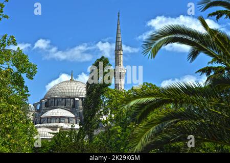 minareto sul tetto della moschea con cielo blu, nuvole e palme Foto Stock