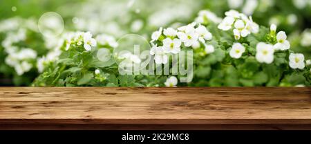 Tavolo di legno di fronte a piccoli fiori bianchi primavera Foto Stock
