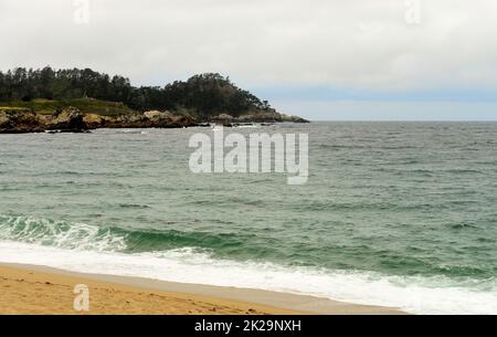 Monterey Bay, Asilomar state Marine Reserve Foto Stock