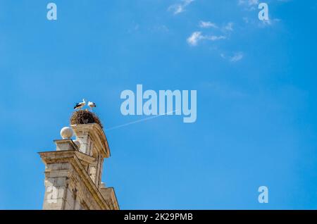 Chiesa di Alcala de Henares con cicogne sulla torre, provincia di Madrid, Spagna Foto Stock