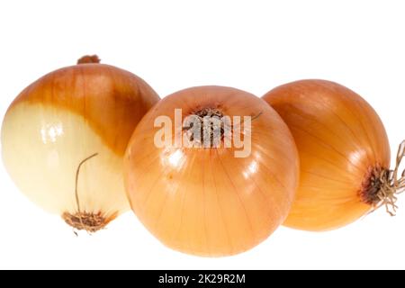 Gruppo di verdure intere di cipolla gialla isolate su fondo bianco, primo piano Foto Stock