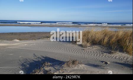 Spiaggia naturale del Mar Baltico. Natura 2000, spiaggia est di Swinoujscie, ÅšwinoujÅ cie Foto Stock