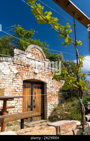 Cantina, regione Palava, Moravia meridionale, Repubblica Ceca Foto Stock