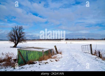 Capannone e albero solitario in un paesaggio innevato Foto Stock