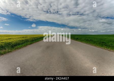 Vista ad angolo basso dell'asfalto rurale vuoto o della strada asfaltata Foto Stock