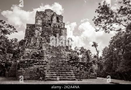 Antico sito maya con rovine tempio piramidi artefatti Muyil Messico. Foto Stock