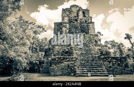 Antico sito maya con rovine tempio piramidi artefatti Muyil Messico. Foto Stock