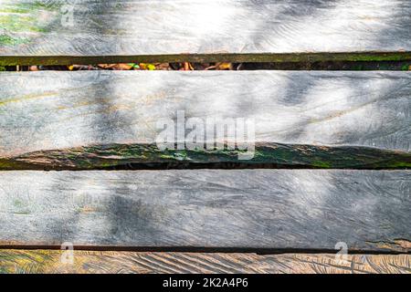 Texture e pattern dogs legno sentieri a piedi Sian Kaan Messico. Foto Stock