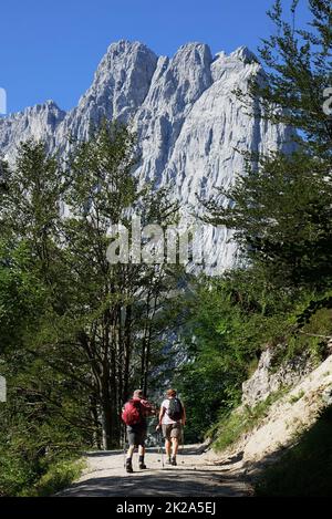 Austria, Tirolo, montagna del Wilder Kaiser, montagna di Predigtstuhl, paesaggio, Kaiserbachtal, escursionisti Foto Stock