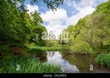 Il lago di Pencarrow House e Giardini in primavera. Cornwall Regno Unito Foto Stock