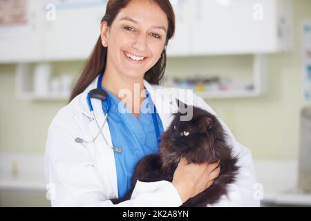 Ci occupiamo al meglio dei tuoi animali domestici. Ritratto di un sorridente veterinario femmina che tiene un felino scuro. Foto Stock