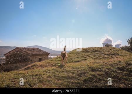 Viaggio Francia Auvergne Rodano Alpi Foto Stock