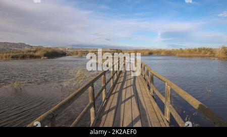 Viaggiare Spagna natura uccelli fauna selvatica Foto Stock