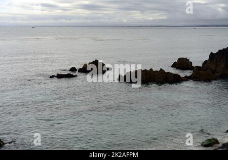 Monterey Bay, Asilomar state Marine Reserve Foto Stock