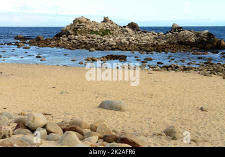 Asilomar state Marine Reserve California Foto Stock