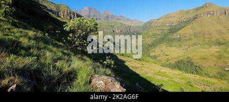 Vista panoramica sulle montagne Drakensberg Foto Stock