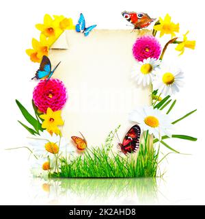 Composizione dei fiori. Cornice fotografica, fiori primaverili su sfondo pergamena. Foto Stock