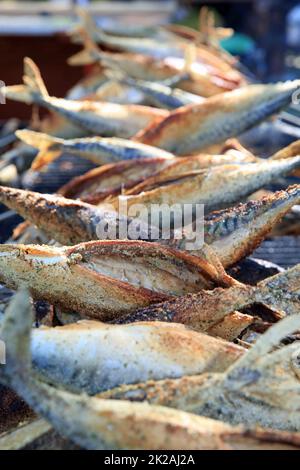 Sgombro fresco sul bastone al barbecue Party. Germania Foto Stock