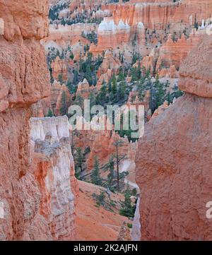 Hoodoos rossi e foresta incorniciata da due pareti naturali rosse nel Bryce Canyon, USA Foto Stock