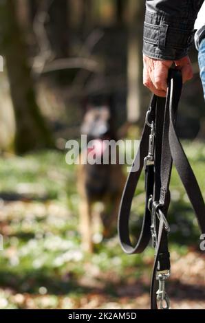 Ragazzo qui. Primo piano di un proprietario che detiene un cane piombo. Foto Stock