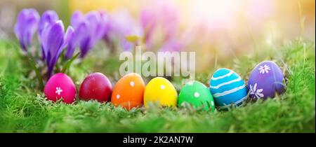 Uova di Pasqua sul prato con erba verde fresca Foto Stock