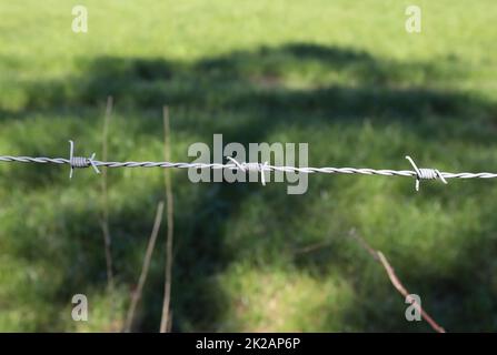 Filo spinato su con un bokeh di messa a fuoco morbida sullo sfondo. Foto Stock