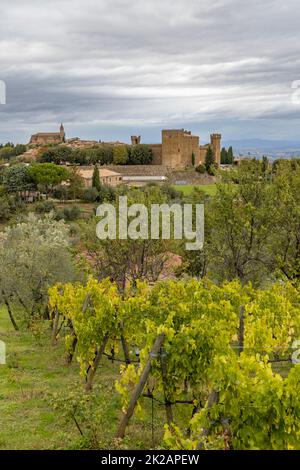 I vigneti più famosi della Toscana vicino a Montalcino in Italia Foto Stock