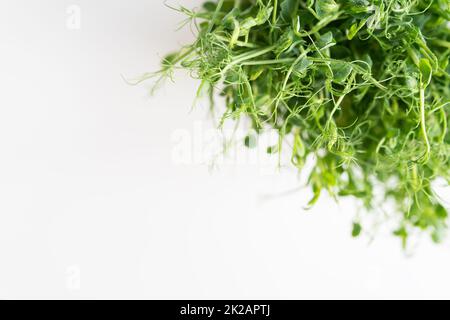 Germogli di piselli vegetali, microgreens su sfondo bianco, vegan salute superfood. Vista dall'alto, primo piano, posto per un'iscrizione. Foto Stock