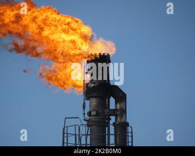 Sistema di torcia su un campo di olio Foto Stock