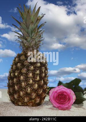 Ananas sulla sabbia con sfondo cielo blu e rosa Foto Stock