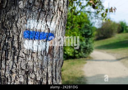 Segno blu su un albero. Marcatura sui sentieri escursionistici Foto Stock