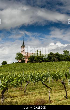 Chiesa di pellegrinaggio Birnau sul lago di Costanza, Uhldingen-Muehlhofen, Baden-Wuerttemberg, Germania Foto Stock