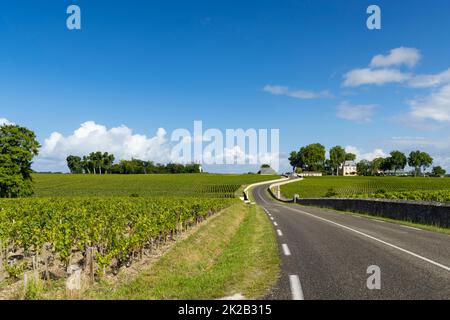 Vigneti tipici vicino Chateau Pichon Longueville Comtesse de Lalande, Bordeaux, Aquitania, Francia Foto Stock