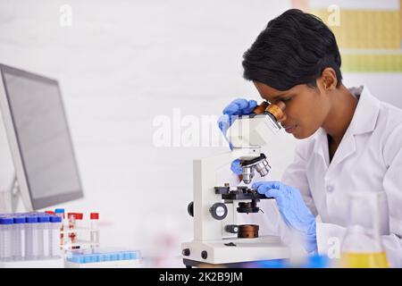 Un perfezionista al lavoro. Un giovane scienziato che usa un microscopio alla sua scrivania nel suo laboratorio. Foto Stock