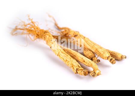 Ginseng, erbe aromatiche secche. Cibo sano famoso esportazione di cibo in Corea paese isolato su sfondo bianco. Foto Stock