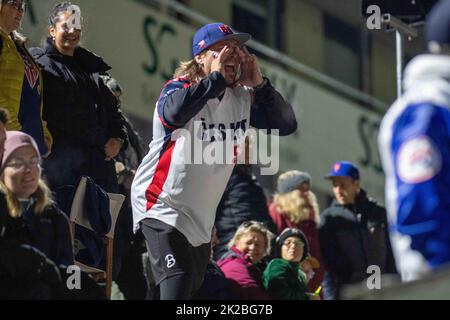 Regensburg, Baviera, Germania. 21st Set, 2022. Un fan ceco sostiene la sua squadra nel qualificatore World Baseball Classic contro la Spagna nella Armin Wolf Baseball Arena di Ratisbona, Germania. (Credit Image: © Kai Dambach/ZUMA Press Wire) Foto Stock