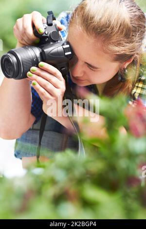 Focalizzandosi sulla fotografia naturalistica. Una ragazza splendida che mette a fuoco attraverso l'obiettivo della sua macchina fotografica. Foto Stock