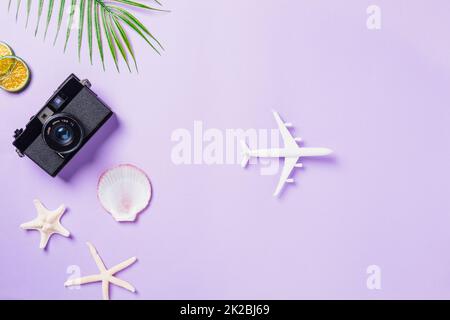 film retro macchina fotografica, aeroplano, conchiglie, stelle marine beach traveler accessori Foto Stock