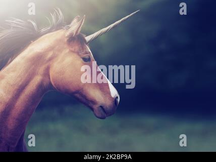 Da una favola. Scatto di un bellissimo unicorno. Foto Stock