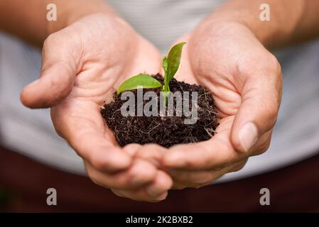 Coltivare nuova vita. Scatto ritagliato di manamp039s mani che tengono un mucchio di suolo con una pianta in erba. Foto Stock