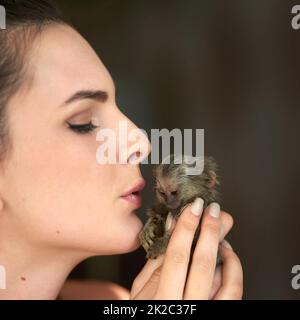 Baci per il mio ragazzo piccolo. Scatto corto di una giovane donna attraente in posa con un marmoset piccante. Foto Stock