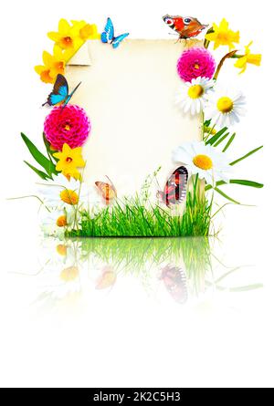 Composizione dei fiori. Cornice fotografica, fiori primaverili su sfondo pergamena. Foto Stock