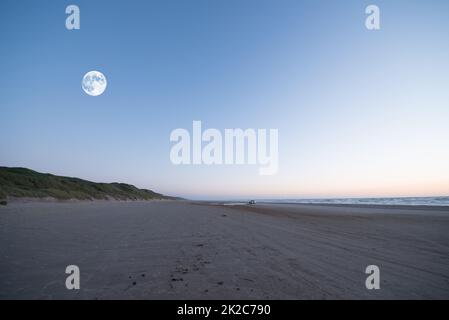 Jutland spiaggia. Una spiaggia sabbiosa lungo lo Jutland, la costa occidentale della Danimarca. Foto Stock