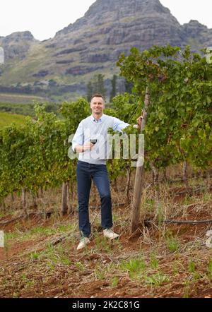 È appassionato dei suoi vini. Ritratto di un enologo maturo che tiene un bicchiere di vino rosso in piedi nel vigneto. Foto Stock