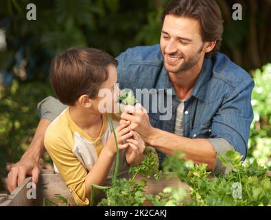 Che bell'odore. Sparato di un padre e di suo figlio facendo un po' di giardinaggio insieme. Foto Stock